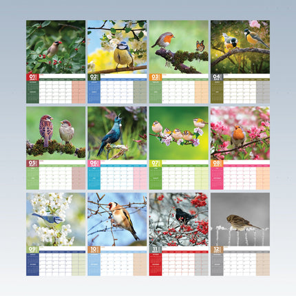 CalendarsRUs Tuinvogels A3 Kalender 2027
