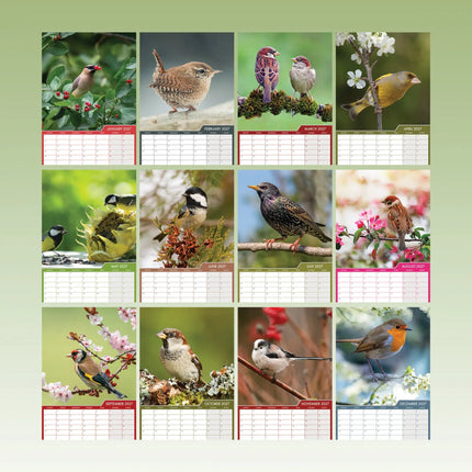 CalendarsRUs Tuinvogels A3 Kalender 2027