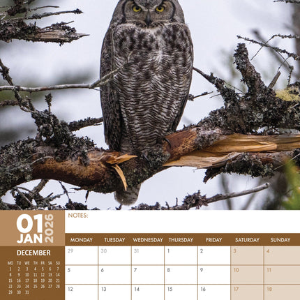 CalendarsRUs Uilen A3 Kalender 2026