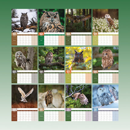 CalendarsRUs Uilen A3 Kalender 2026