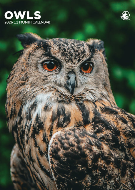 CalendarsRUs Uilen A3 Kalender 2027