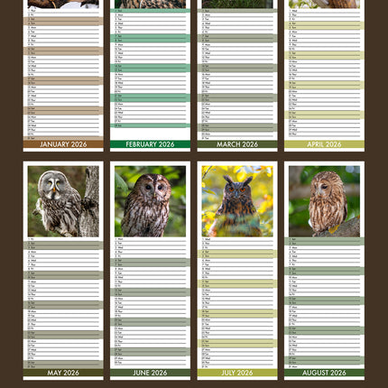 CalendarsRUs Uilen Slimline Kalender 2026
