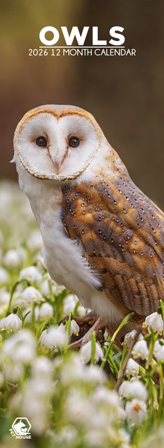 CalendarsRUs Uilen Slimline Kalender 2026