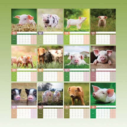 CalendarsRUs Varken A3 Kalender 2026