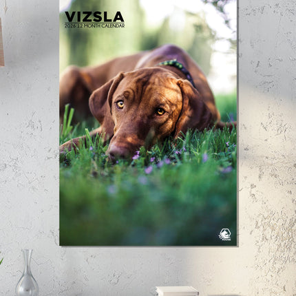 CalendarsRUs Vizsla A3 Kalender 2026