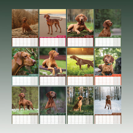 CalendarsRUs Vizsla A3 Kalender 2027