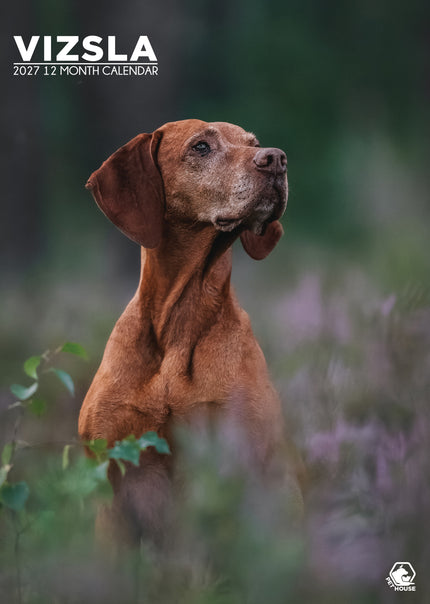 CalendarsRUs Vizsla A3 Kalender 2027