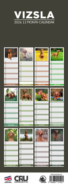 CalendarsRUs Vizsla Slimline Kalender 2026