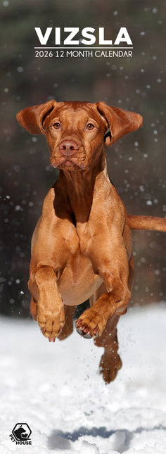 CalendarsRUs Vizsla Slimline Kalender 2026