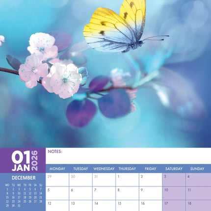 CalendarsRUs Vlinder A3 Kalender 2026