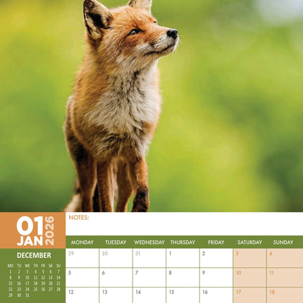 CalendarsRUs Vossen A3 Kalender 2026