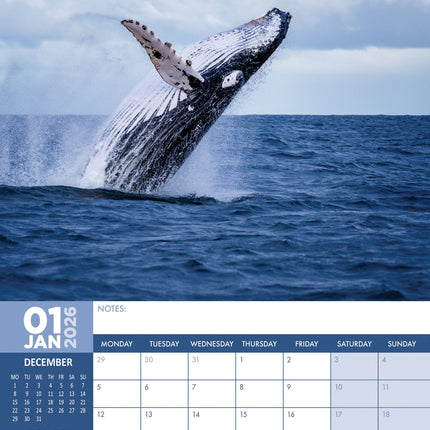 CalendarsRUs Walvissen A3 Kalender 2026