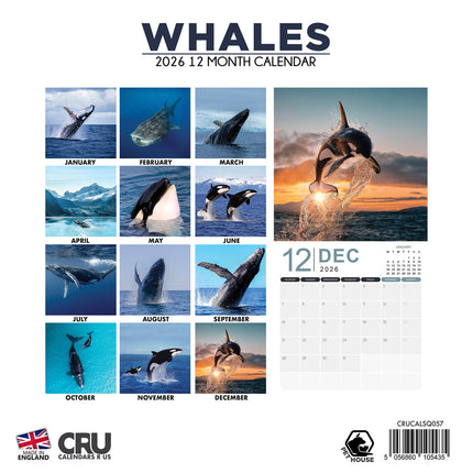 CalendarsRUs Walvissen Kalender 2026