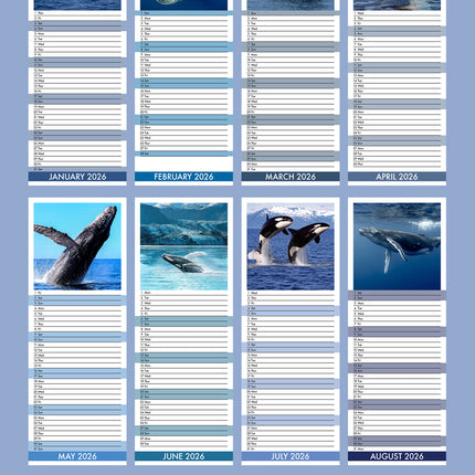 CalendarsRUs Walvissen Slimline Kalender 2026