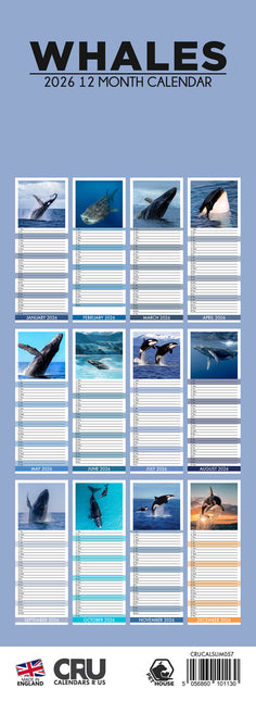 CalendarsRUs Walvissen Slimline Kalender 2026