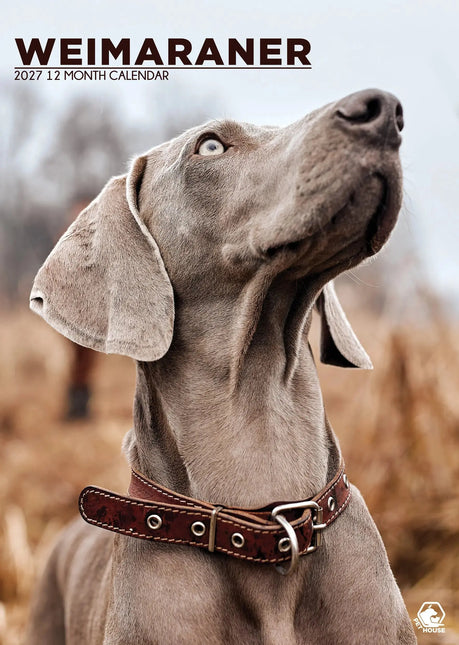 CalendarsRUs Weimaraner A3 Kalender 2027