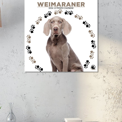 CalendarsRUs Weimaraner Kalender 2026