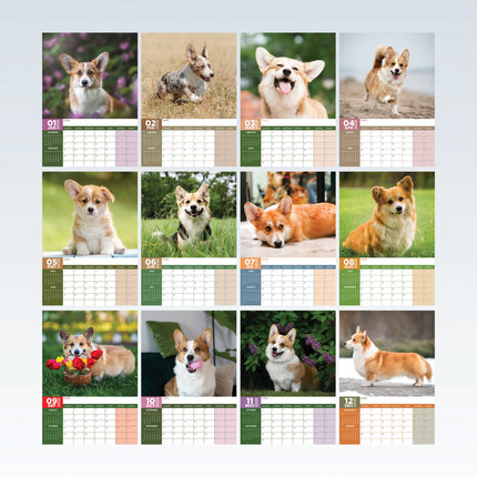 CalendarsRUs Welsh Corgi A3 Kalender 2026