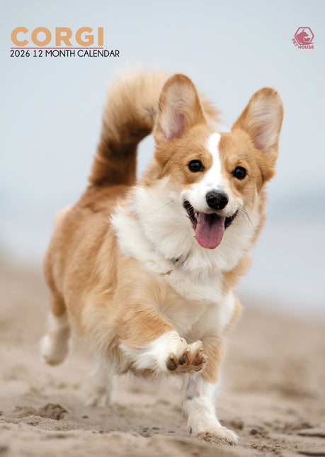 CalendarsRUs Welsh Corgi A3 Kalender 2026