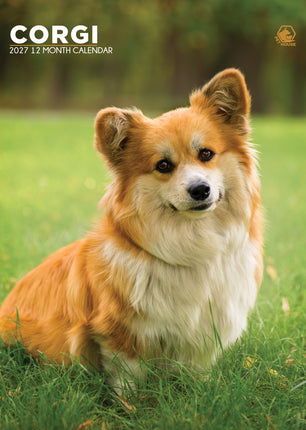 CalendarsRUs Welsh Corgi A3 Kalender 2027