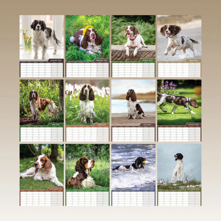 CalendarsRUs Welsh Springer Spaniel A3 Kalender 2027