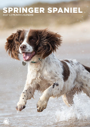 CalendarsRUs Welsh Springer Spaniel A3 Kalender 2027