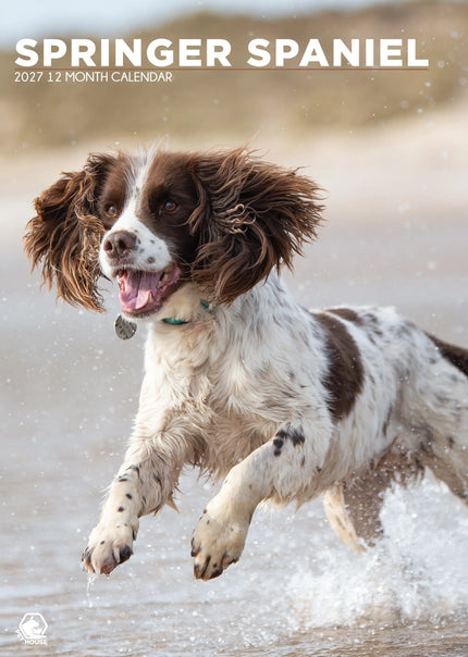 CalendarsRUs Welsh Springer Spaniel A3 Kalender 2027