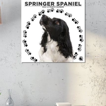 CalendarsRUs Welsh Springer Spaniel Kalender 2026