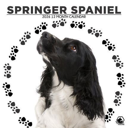CalendarsRUs Welsh Springer Spaniel Kalender 2026