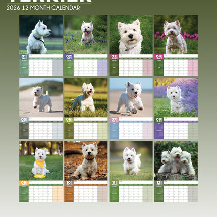 CalendarsRUs West Highland White Terrier A3 Kalender 2027