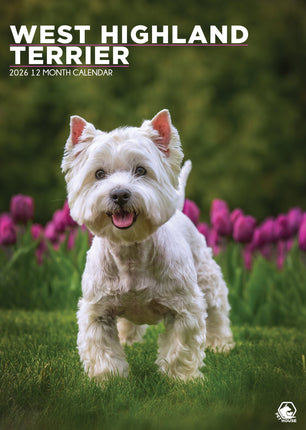 CalendarsRUs West Highland White Terrier A3 Kalender 2027