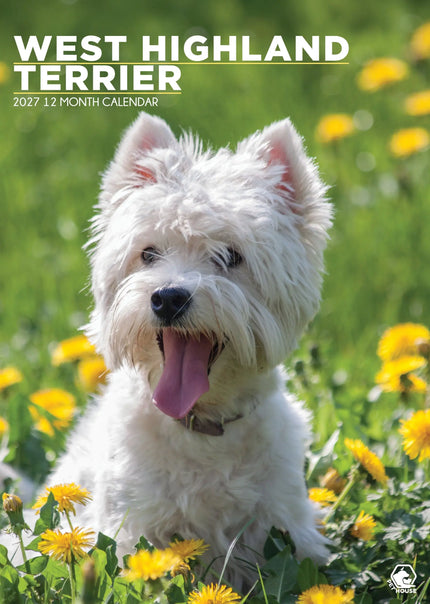 CalendarsRUs West Highland White Terrier A3 Kalender 2027