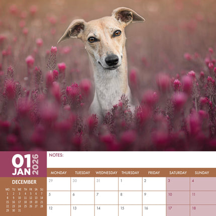 CalendarsRUs Whippet A3 Kalender 2026