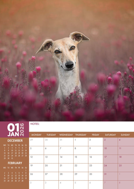 CalendarsRUs Whippet A3 Kalender 2026