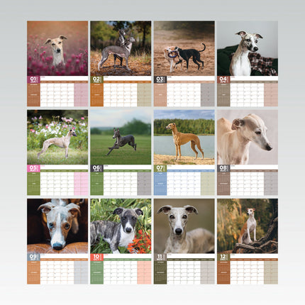 CalendarsRUs Whippet A3 Kalender 2026