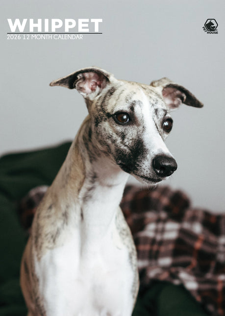 CalendarsRUs Whippet A3 Kalender 2026