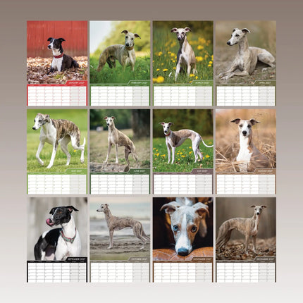 CalendarsRUs Whippet A3 Kalender 2027
