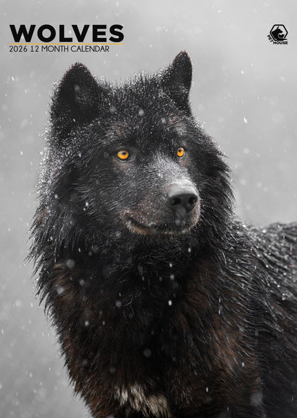 CalendarsRUs Wolven A3 Kalender 2026