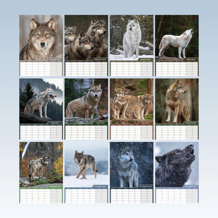 CalendarsRUs Wolven A3 Kalender 2027