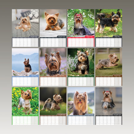 CalendarsRUs Yorkshire Terrier A3 Kalender 2027