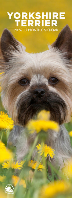 CalendarsRUs Yorkshire Terrier Slimline Kalender 2026