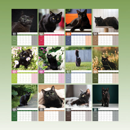 CalendarsRUs Zwarte Katten A3 Kalender 2026