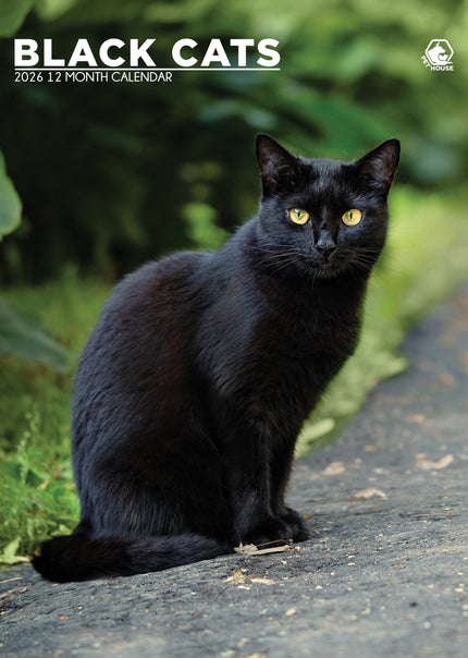 CalendarsRUs Zwarte Katten A3 Kalender 2026