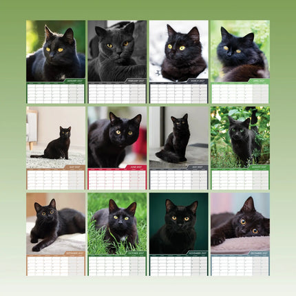 CalendarsRUs Zwarte Katten A3 Kalender 2027