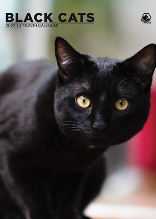 CalendarsRUs Zwarte Katten A3 Kalender 2027