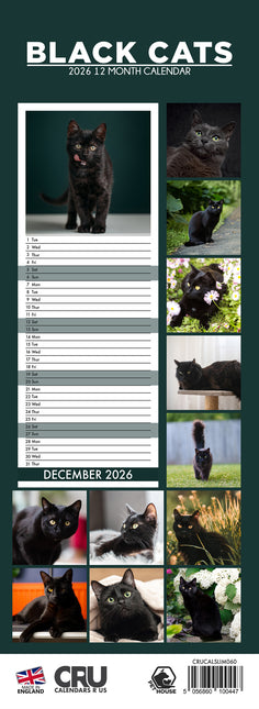 CalendarsRUs Zwarte Katten Slimline Kalender 2026
