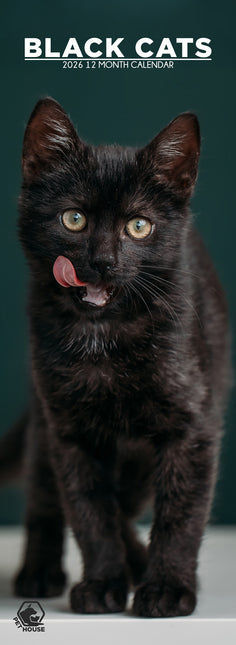 CalendarsRUs Zwarte Katten Slimline Kalender 2026