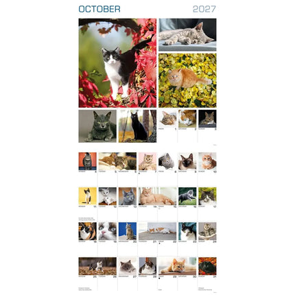 CarouselCalendars 365 Dagen Katten Kalender 2027