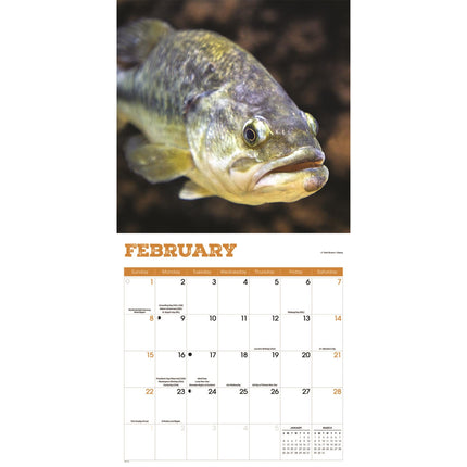 CarouselCalendars Baars Vissen Kalender 2026