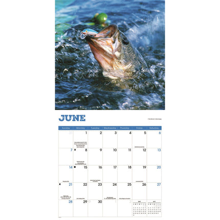 CarouselCalendars Baars Vissen Kalender 2026